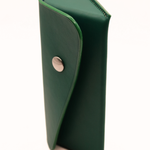 Etui à lunettes